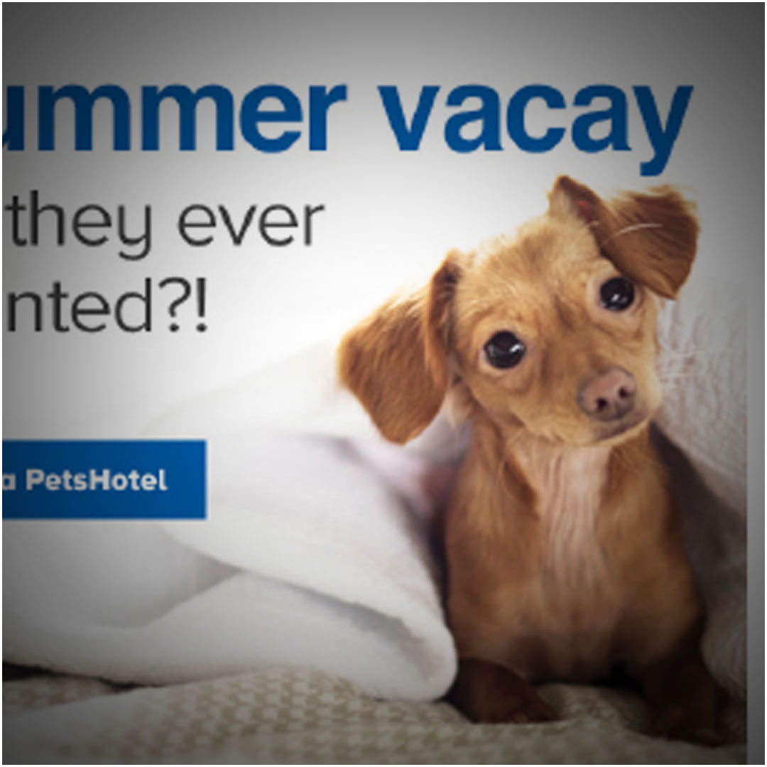 PetSmart