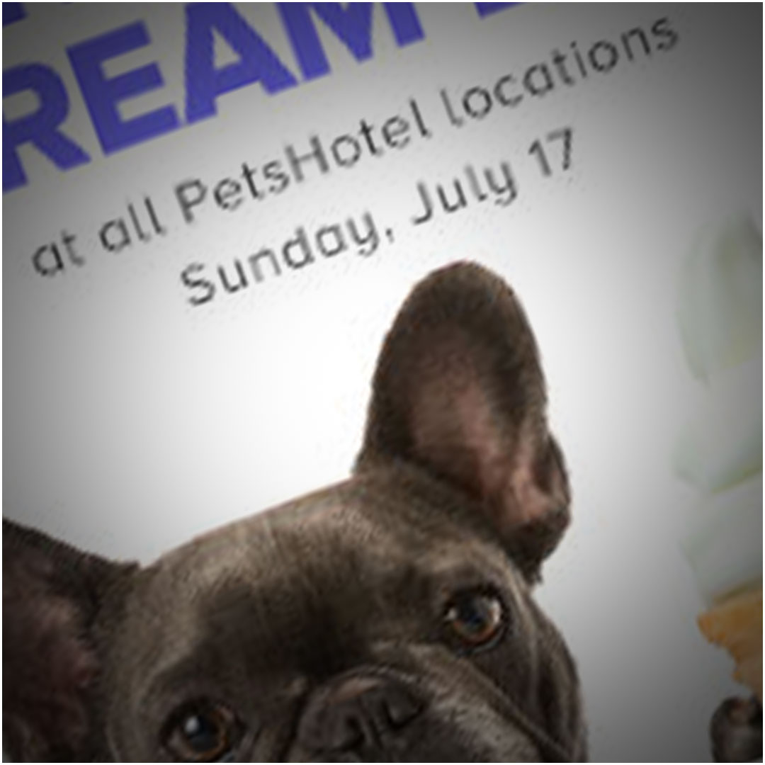 PetSmart